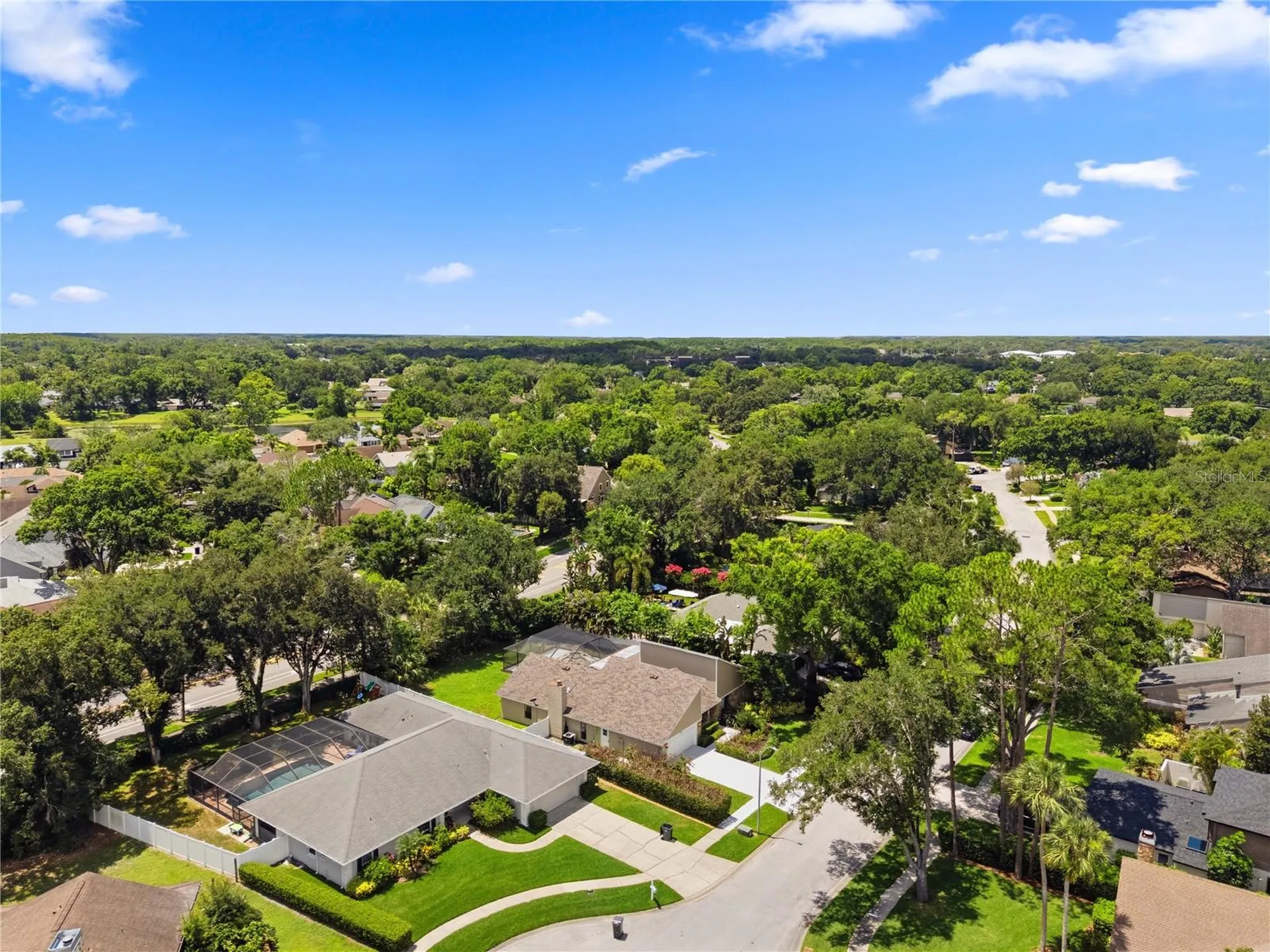 14207 Ashburn Place Tampa FL 33624