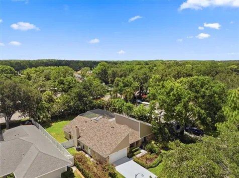 14207 Ashburn Place Tampa FL 33624