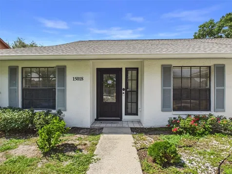 15018 Redcliff Drive Tampa FL 33625