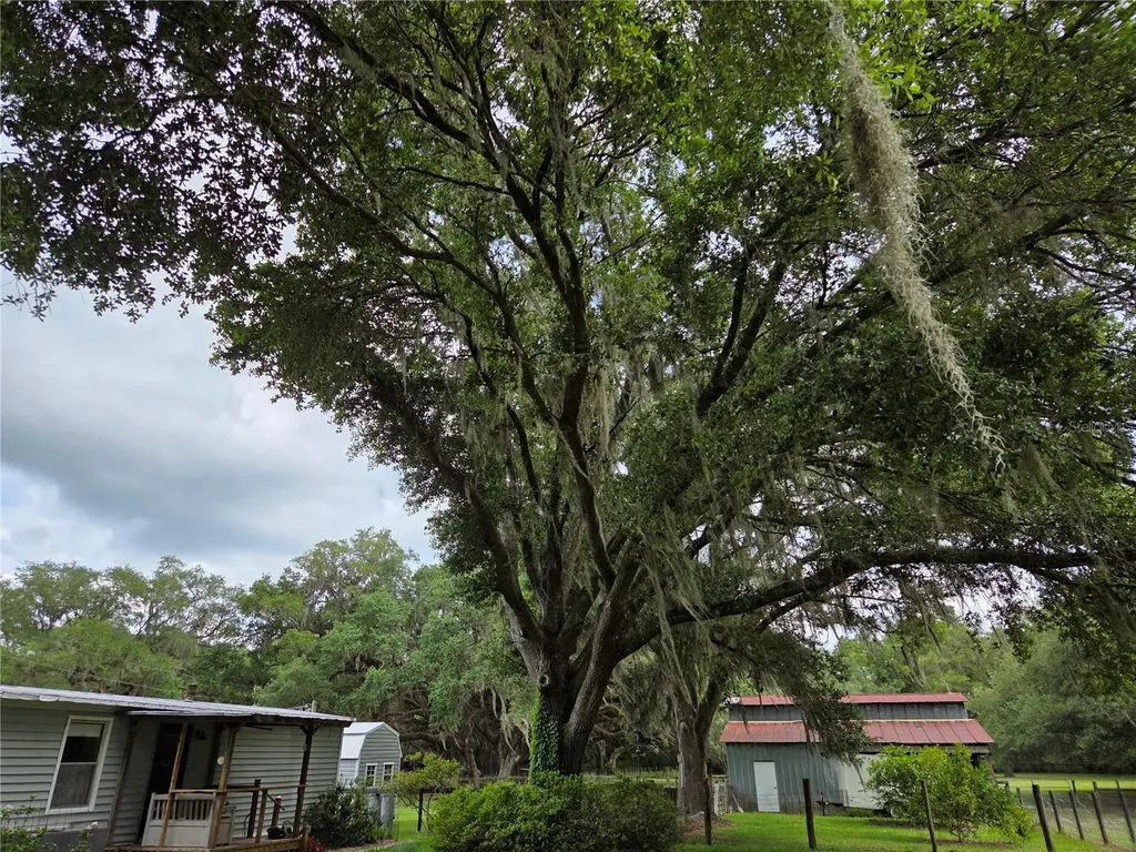 2450 SE 190th Terrace Morriston FL 32668