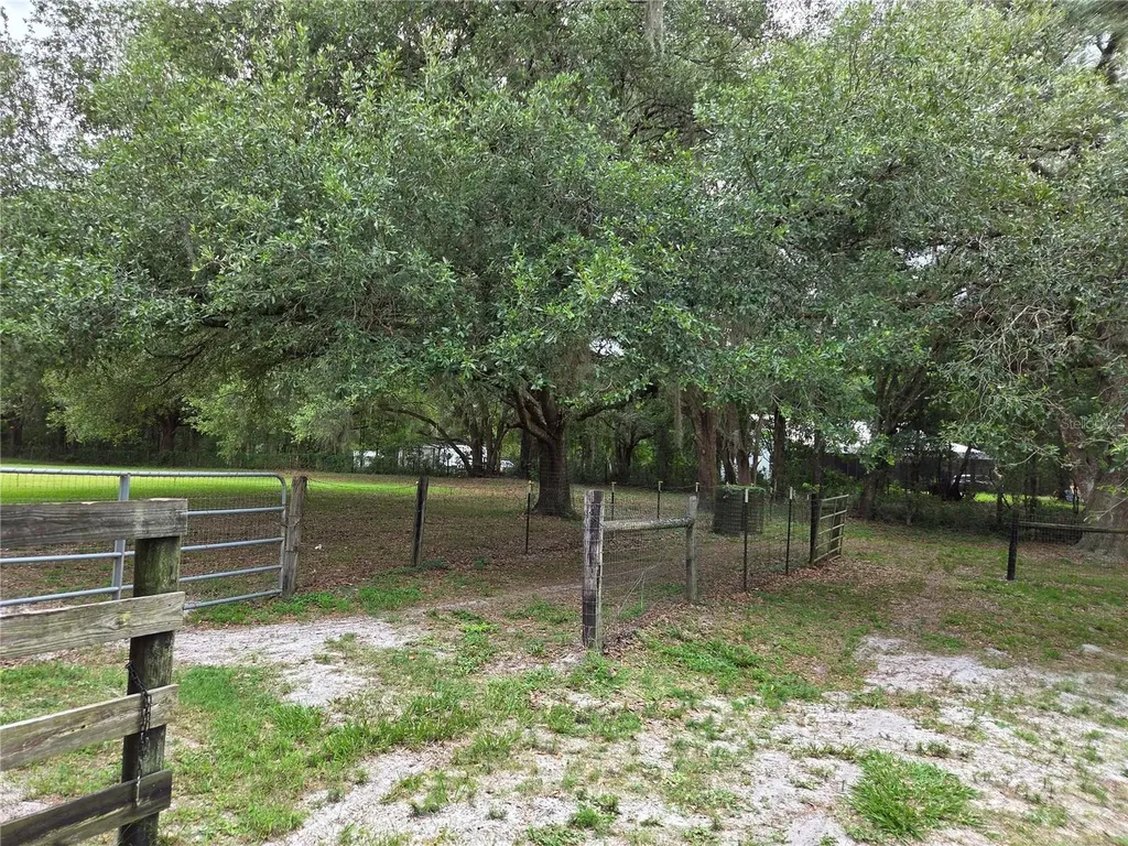 2450 SE 190th Terrace Morriston FL 32668