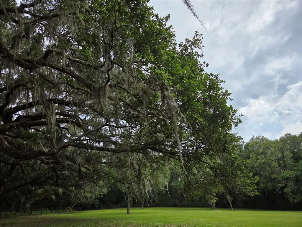 2450 SE 190th Terrace Morriston FL 32668