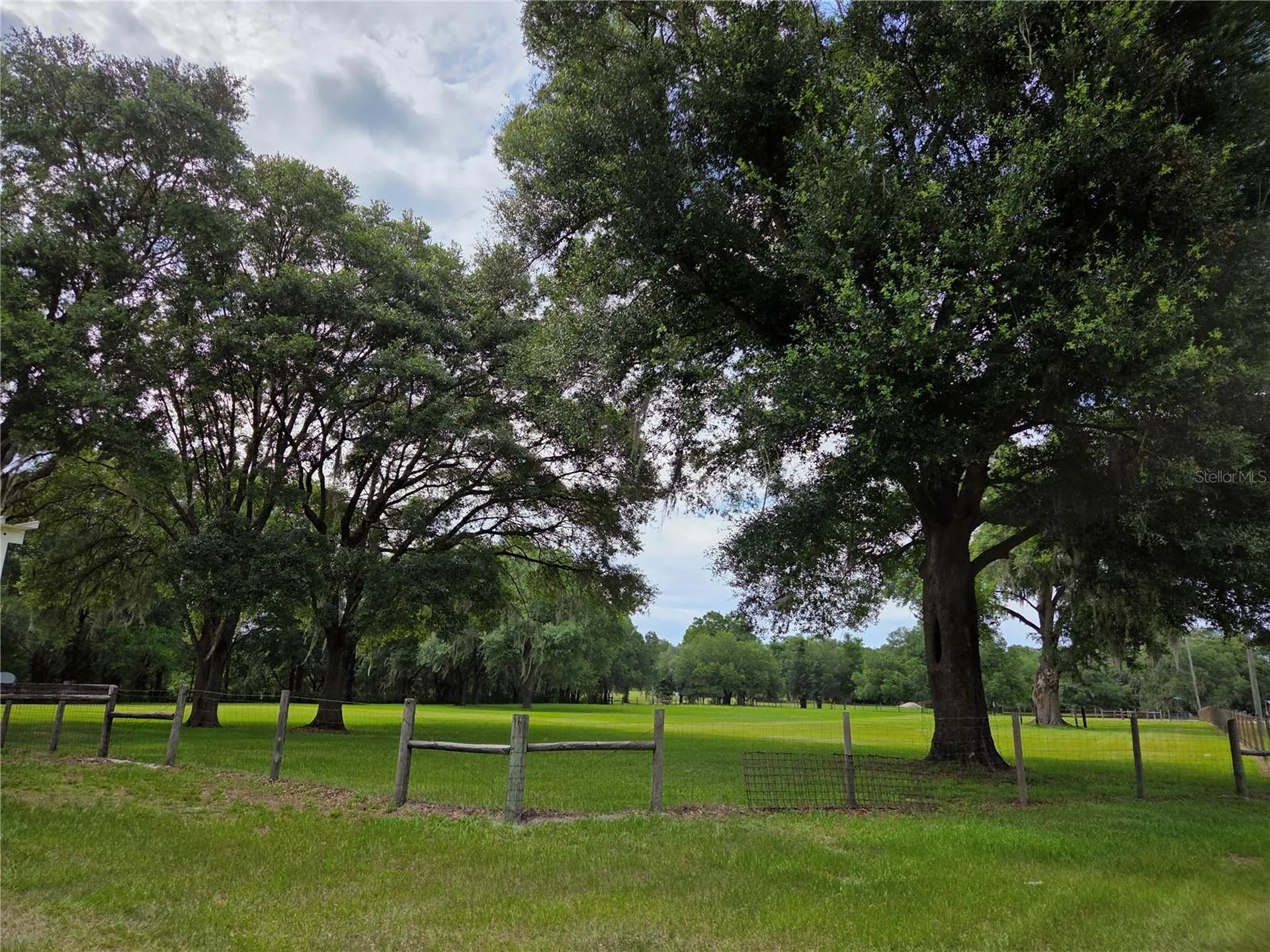 2450 SE 190th Terrace Morriston FL 32668