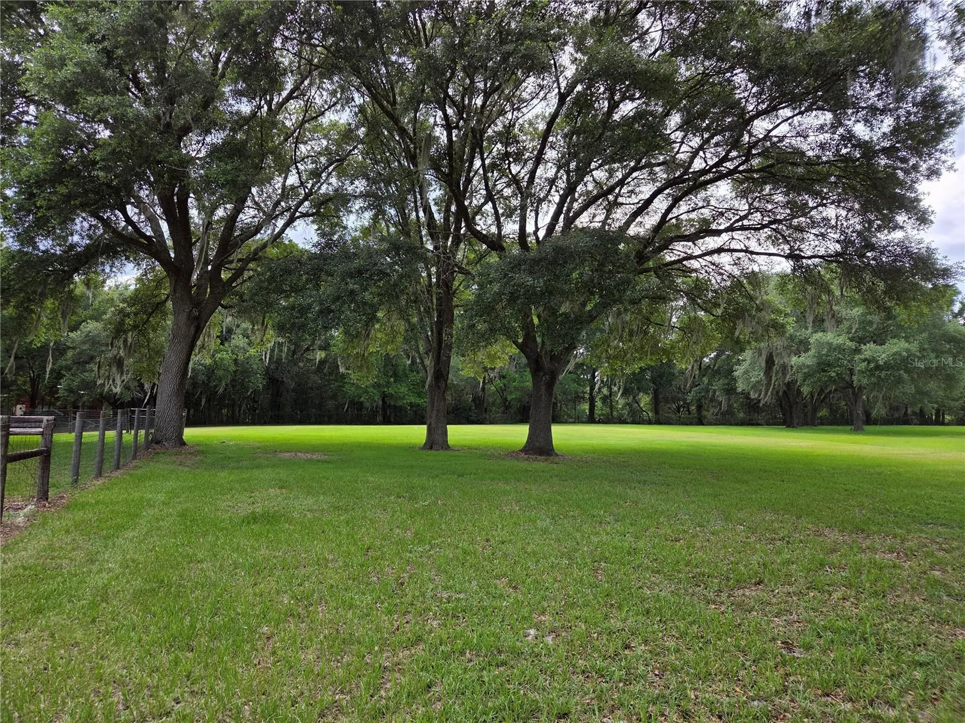 2450 SE 190th Terrace Morriston FL 32668