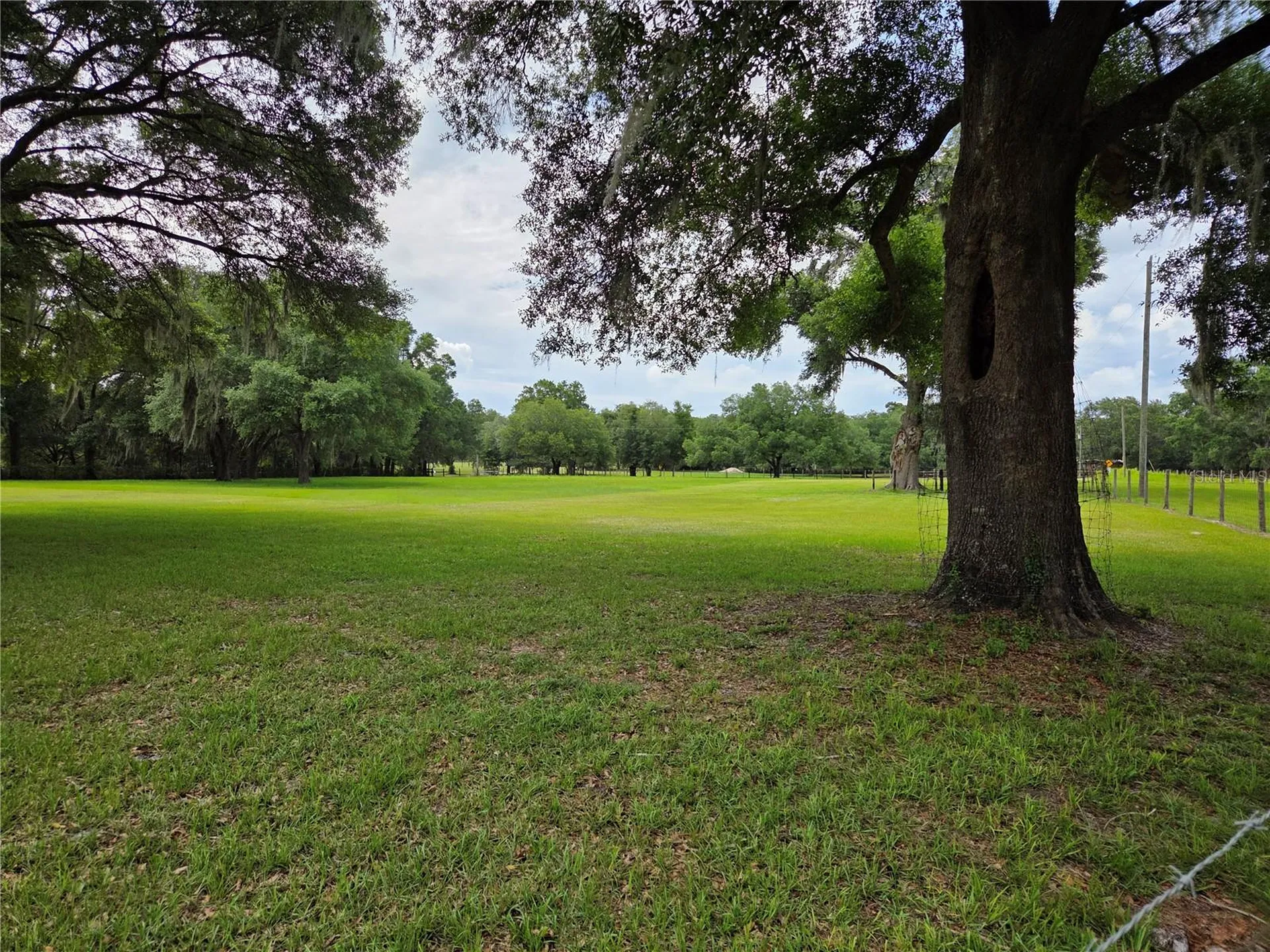 2450 SE 190th Terrace Morriston FL 32668