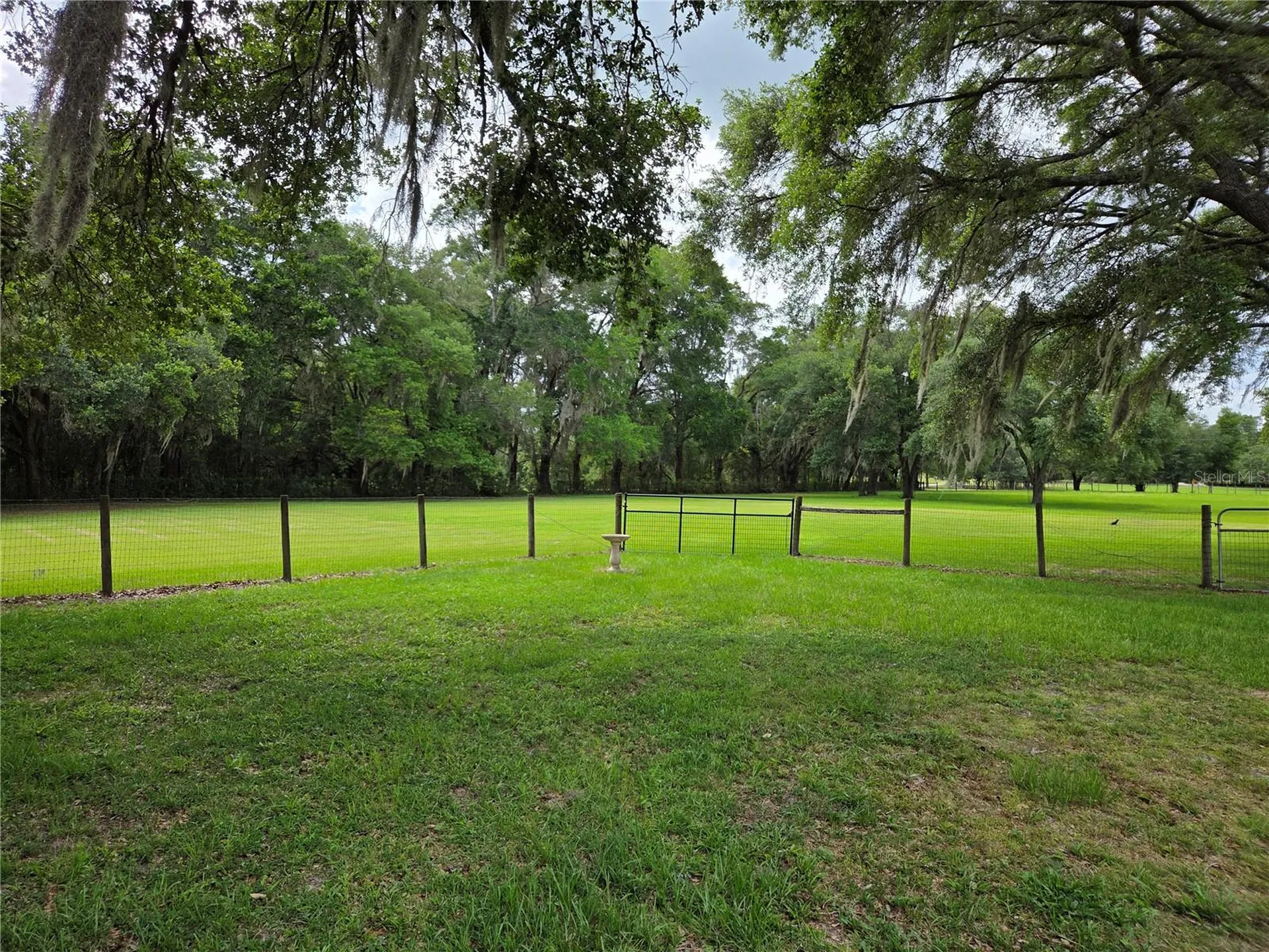 2450 SE 190th Terrace Morriston FL 32668