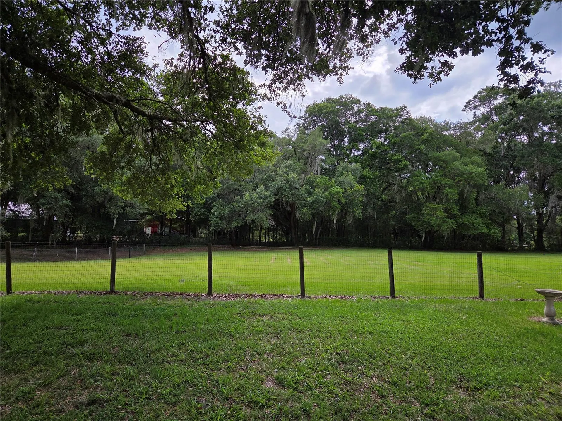 2450 SE 190th Terrace Morriston FL 32668