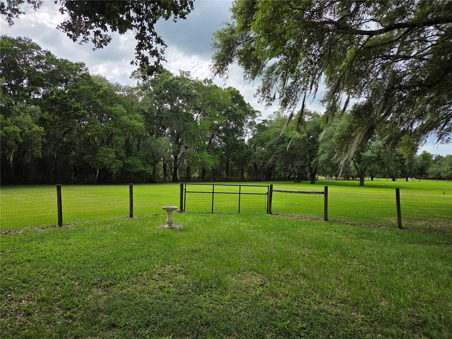 2450 SE 190th Terrace Morriston FL 32668