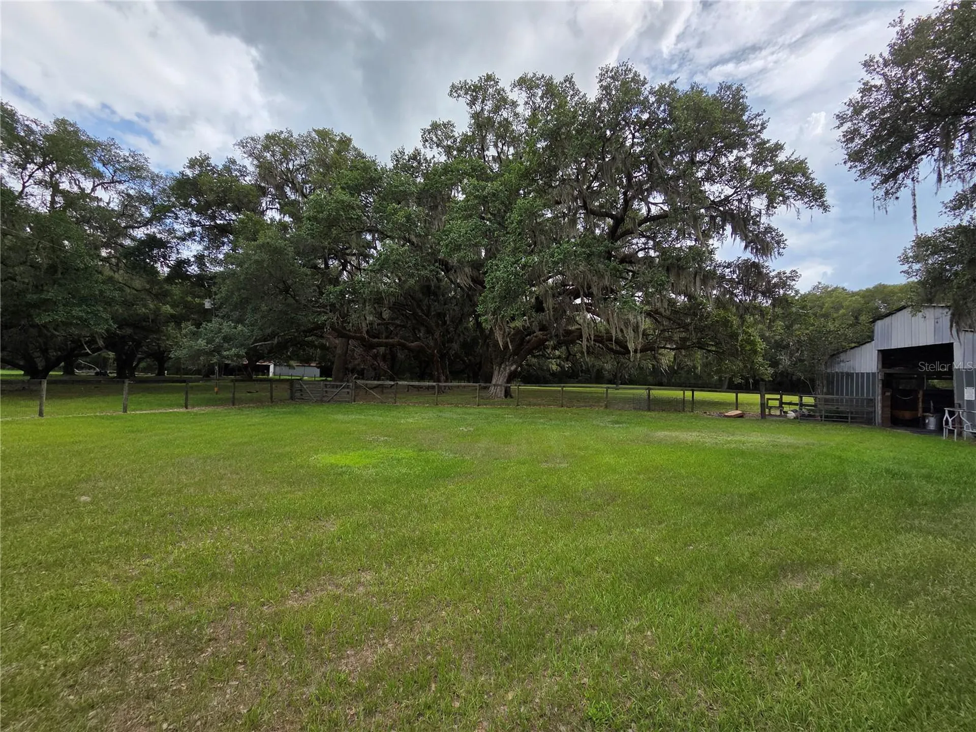 2450 SE 190th Terrace Morriston FL 32668