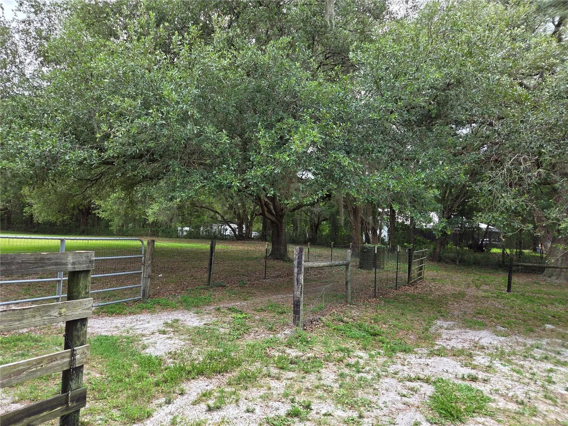 2450 SE 190th Terrace Morriston FL 32668