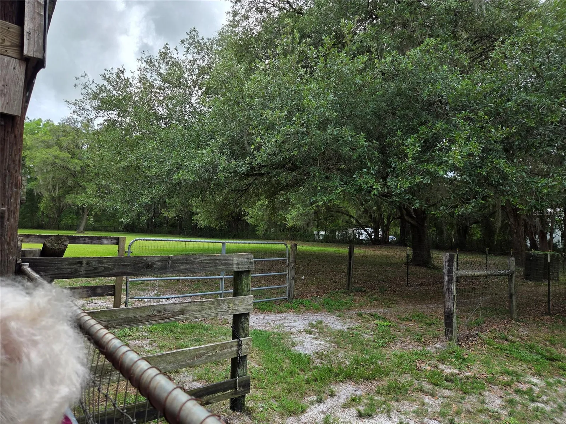 2450 SE 190th Terrace Morriston FL 32668