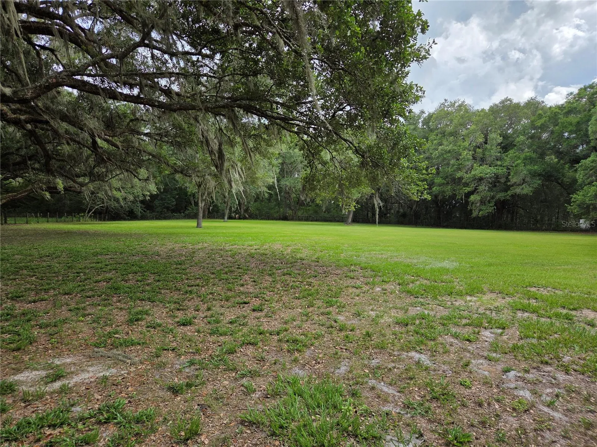 2450 SE 190th Terrace Morriston FL 32668