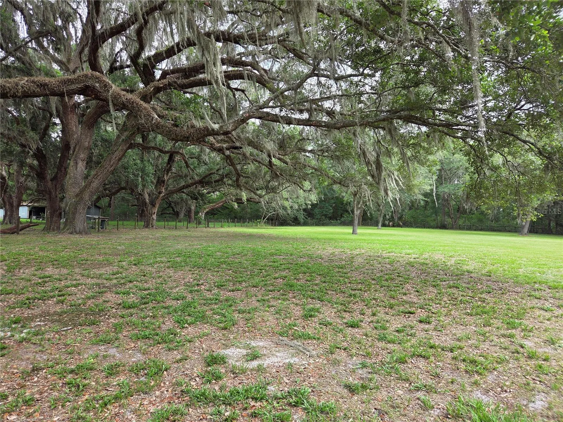 2450 SE 190th Terrace Morriston FL 32668