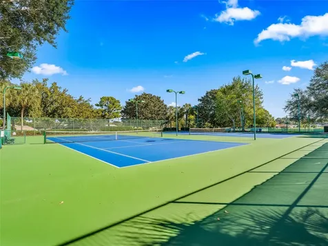 11137 SE 173rd Place Summerfield FL 34491