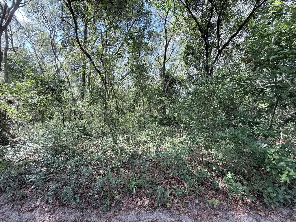 Tbd SW 150th Street Dunnellon FL 34432