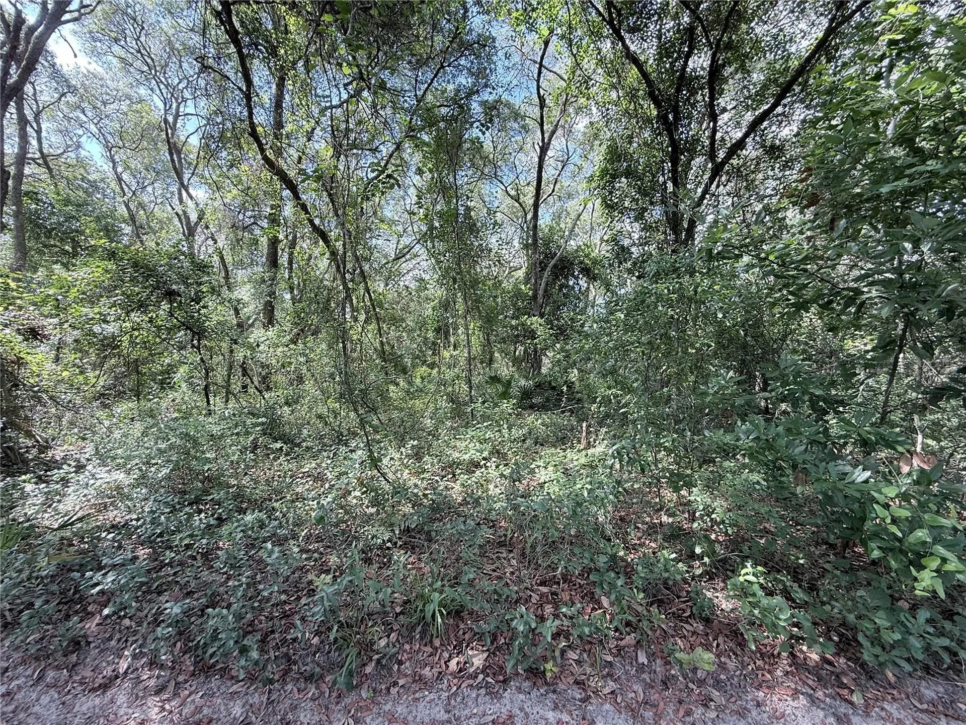 Tbd SW 150th Street Dunnellon FL 34432