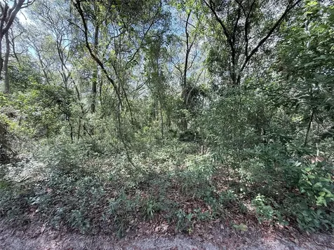 Tbd SW 150th Street Dunnellon FL 34432