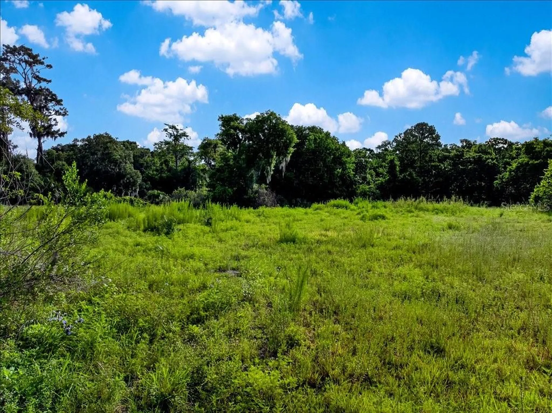 2417 Tomoka Farms Road Port Orange FL 32128