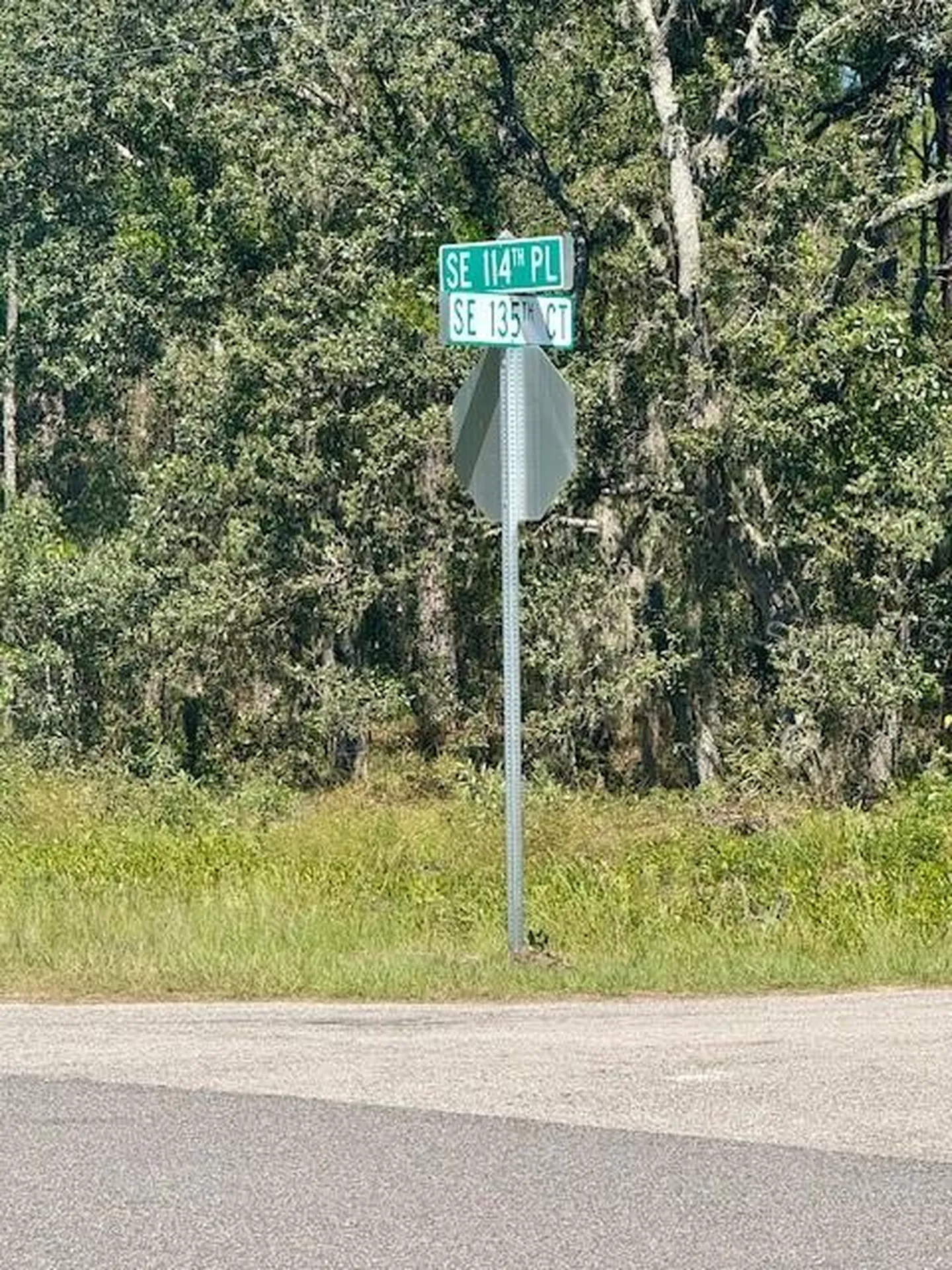 135 Court SE Dunnellon FL 34431