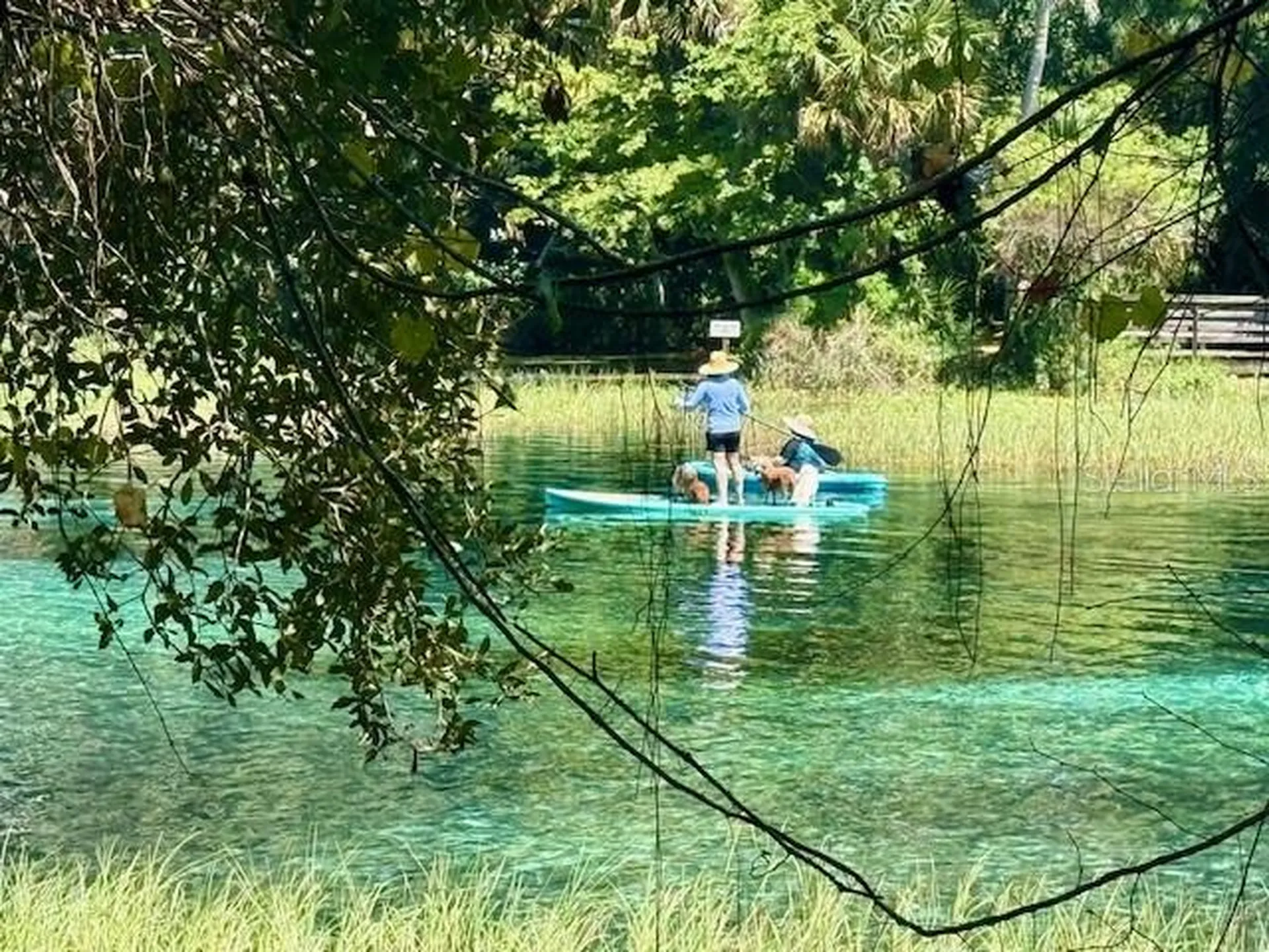 135 Court SE Dunnellon FL 34431