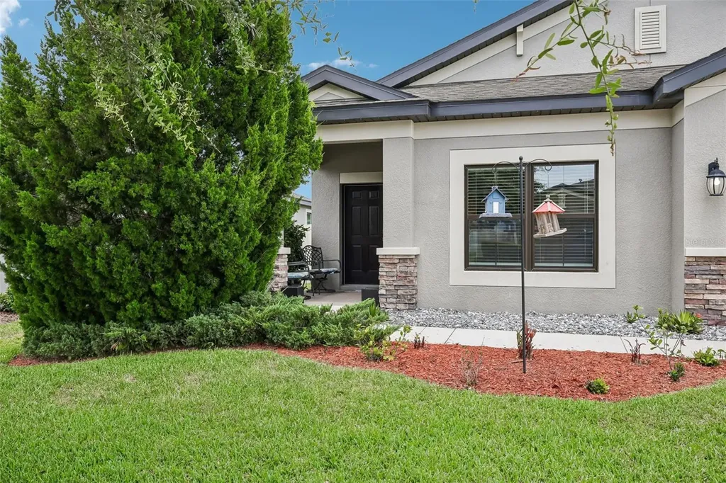 8210 Mallow Mirror Lane Land O Lakes FL 34637
