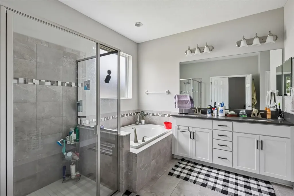 8210 Mallow Mirror Lane Land O Lakes FL 34637