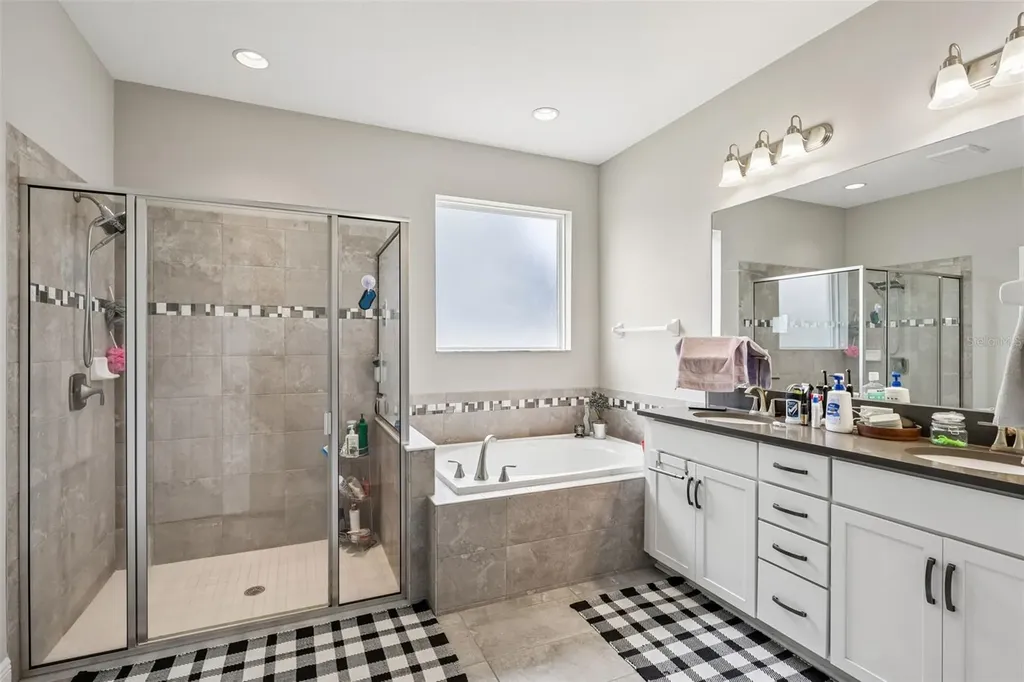 8210 Mallow Mirror Lane Land O Lakes FL 34637