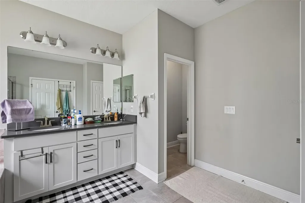 8210 Mallow Mirror Lane Land O Lakes FL 34637