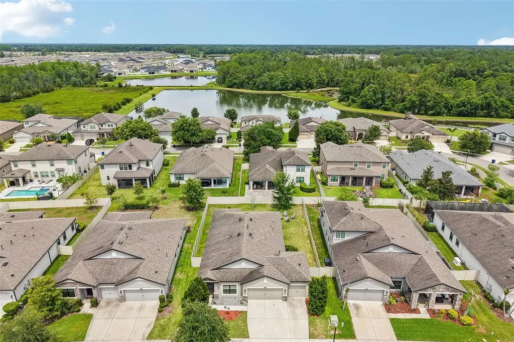 8210 Mallow Mirror Lane Land O Lakes FL 34637