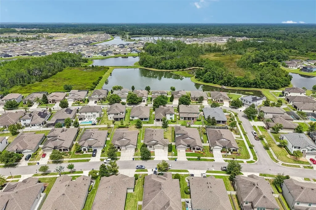 8210 Mallow Mirror Lane Land O Lakes FL 34637
