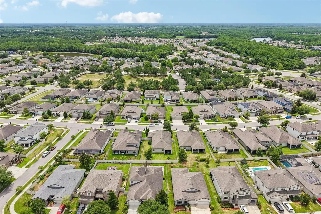 8210 Mallow Mirror Lane Land O Lakes FL 34637