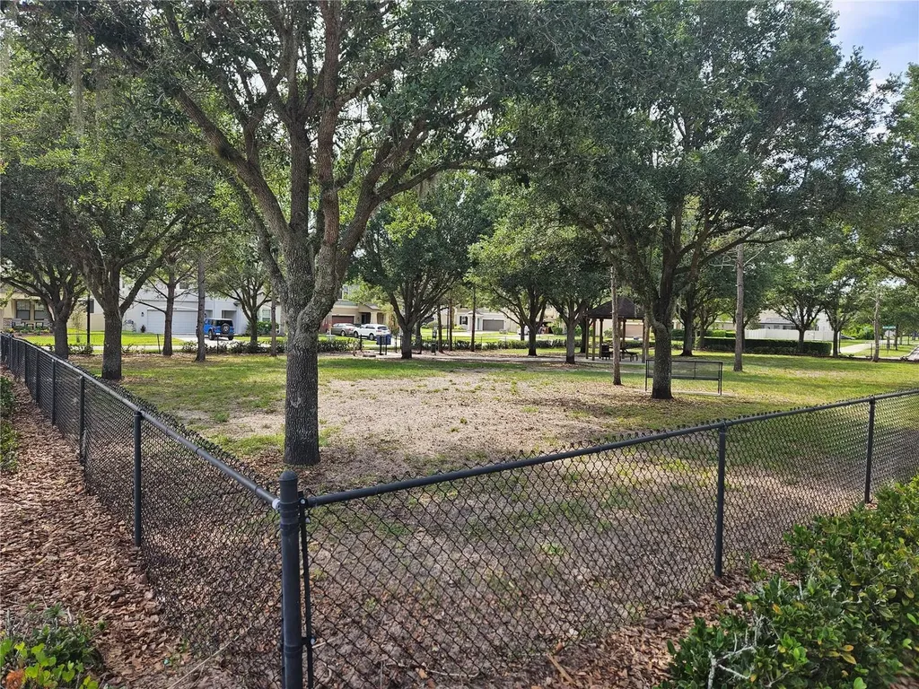 8210 Mallow Mirror Lane Land O Lakes FL 34637