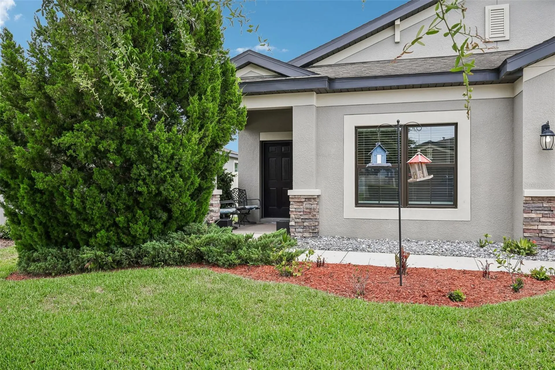 8210 Mallow Mirror Lane Land O Lakes FL 34637