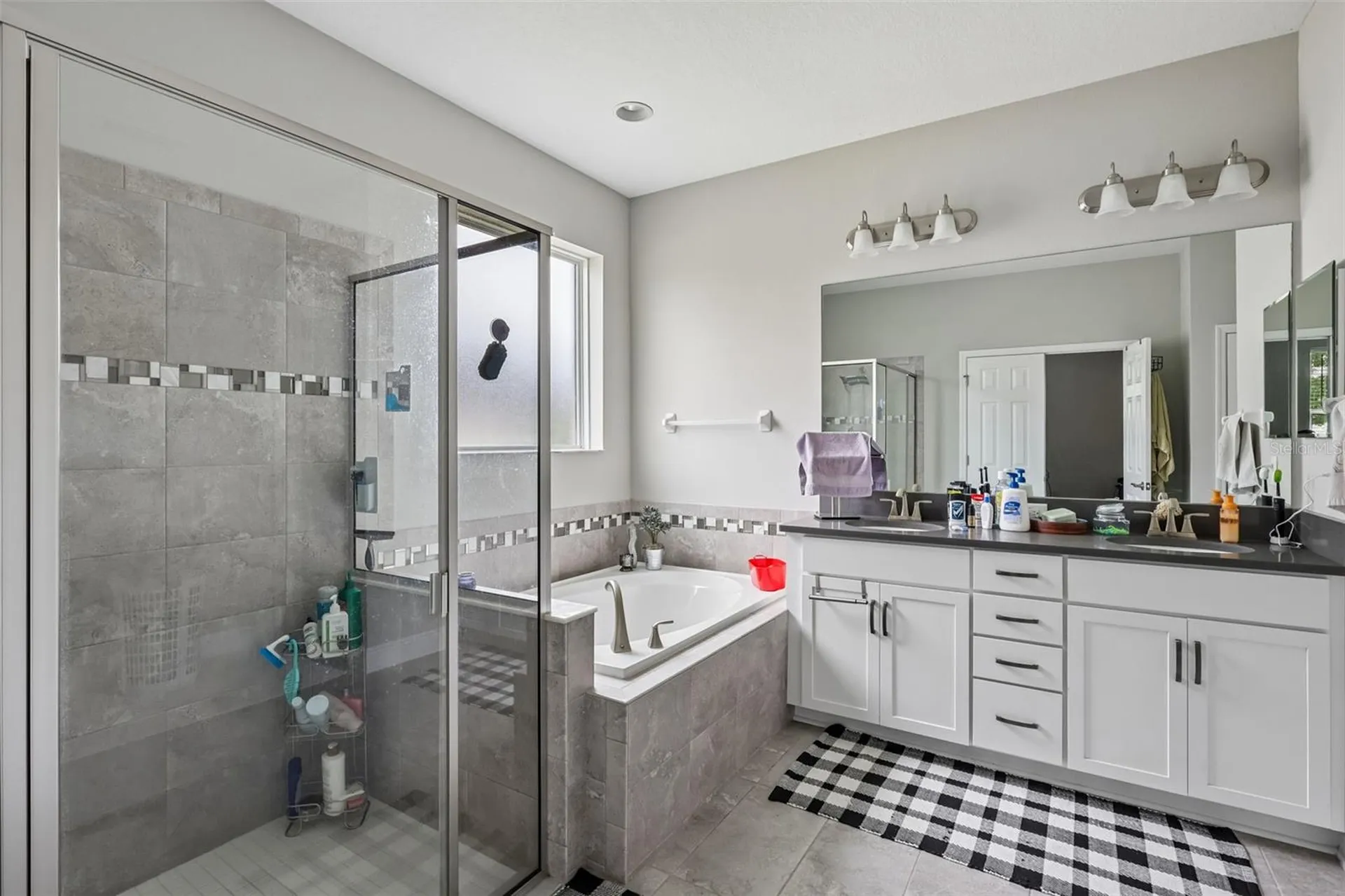 8210 Mallow Mirror Lane Land O Lakes FL 34637
