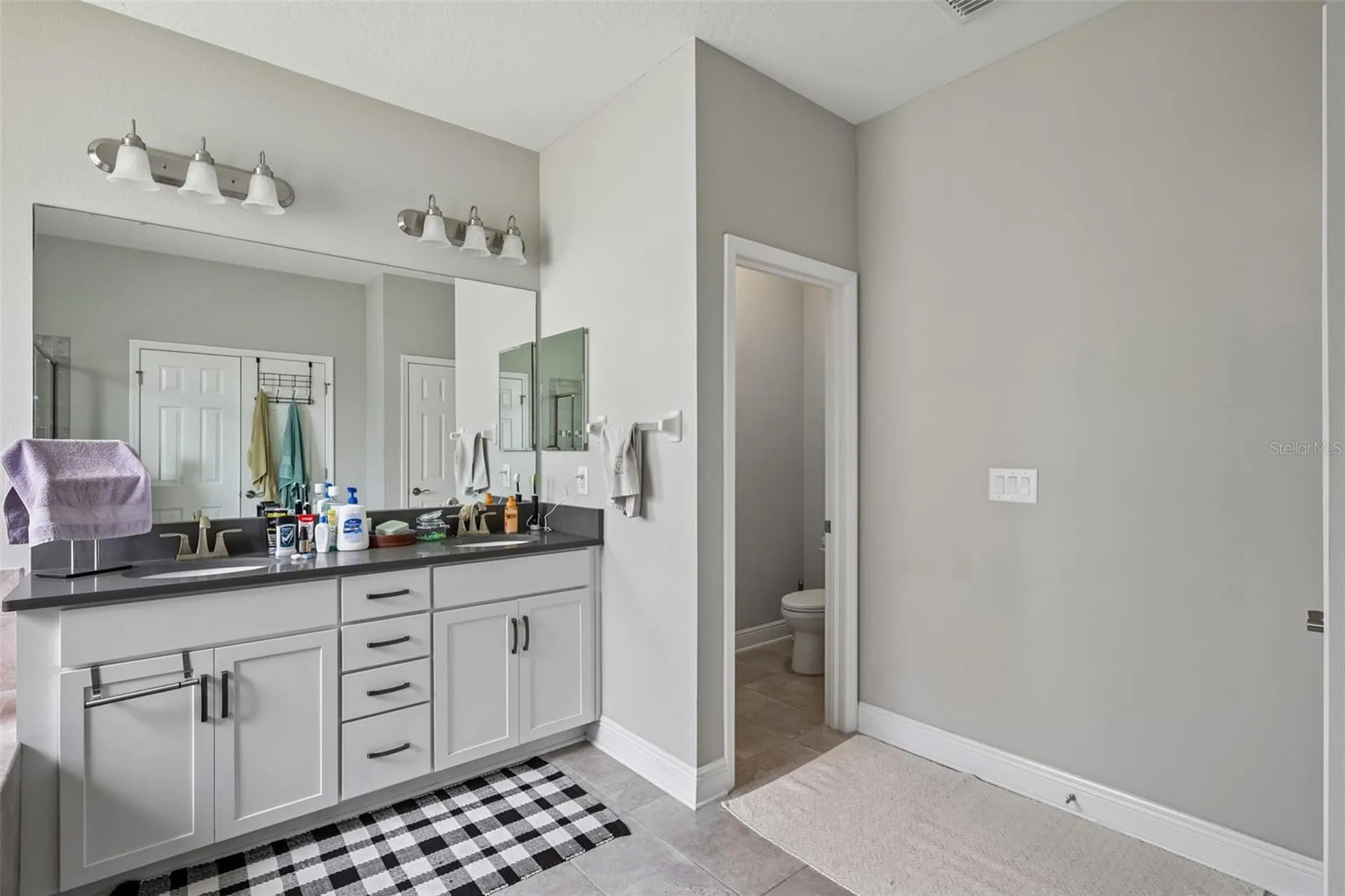 8210 Mallow Mirror Lane Land O Lakes FL 34637