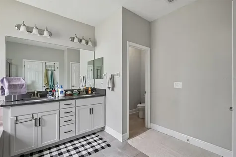 8210 Mallow Mirror Lane Land O Lakes FL 34637