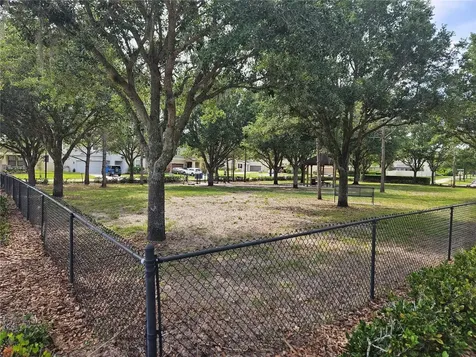 8210 Mallow Mirror Lane Land O Lakes FL 34637
