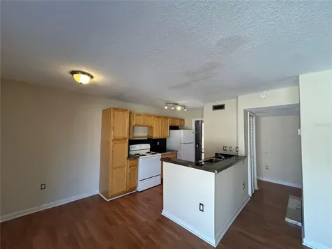 1171 Calle Del Rey Casselberry FL 32707