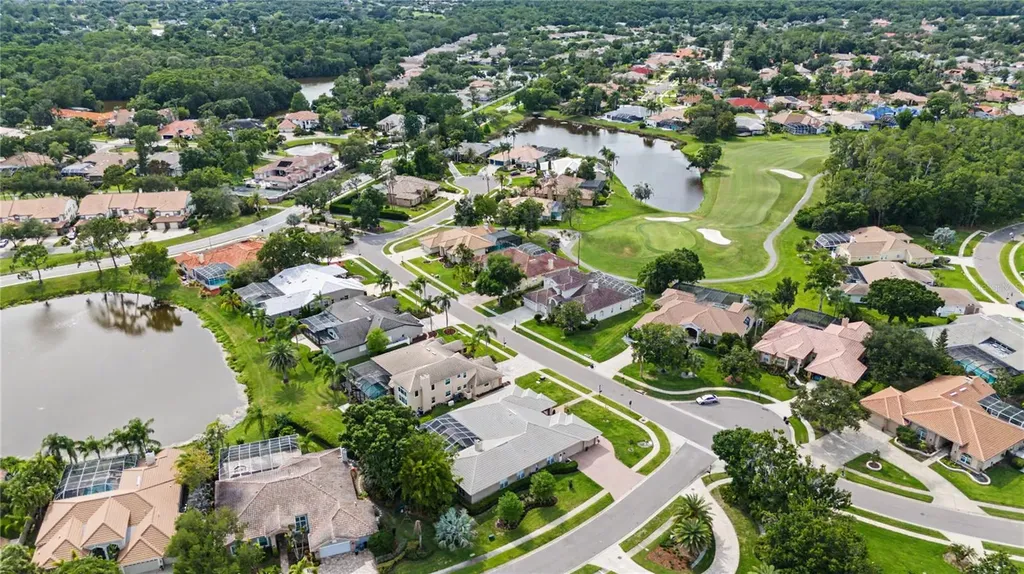 1319 Forestedge Boulevard Oldsmar FL 34677