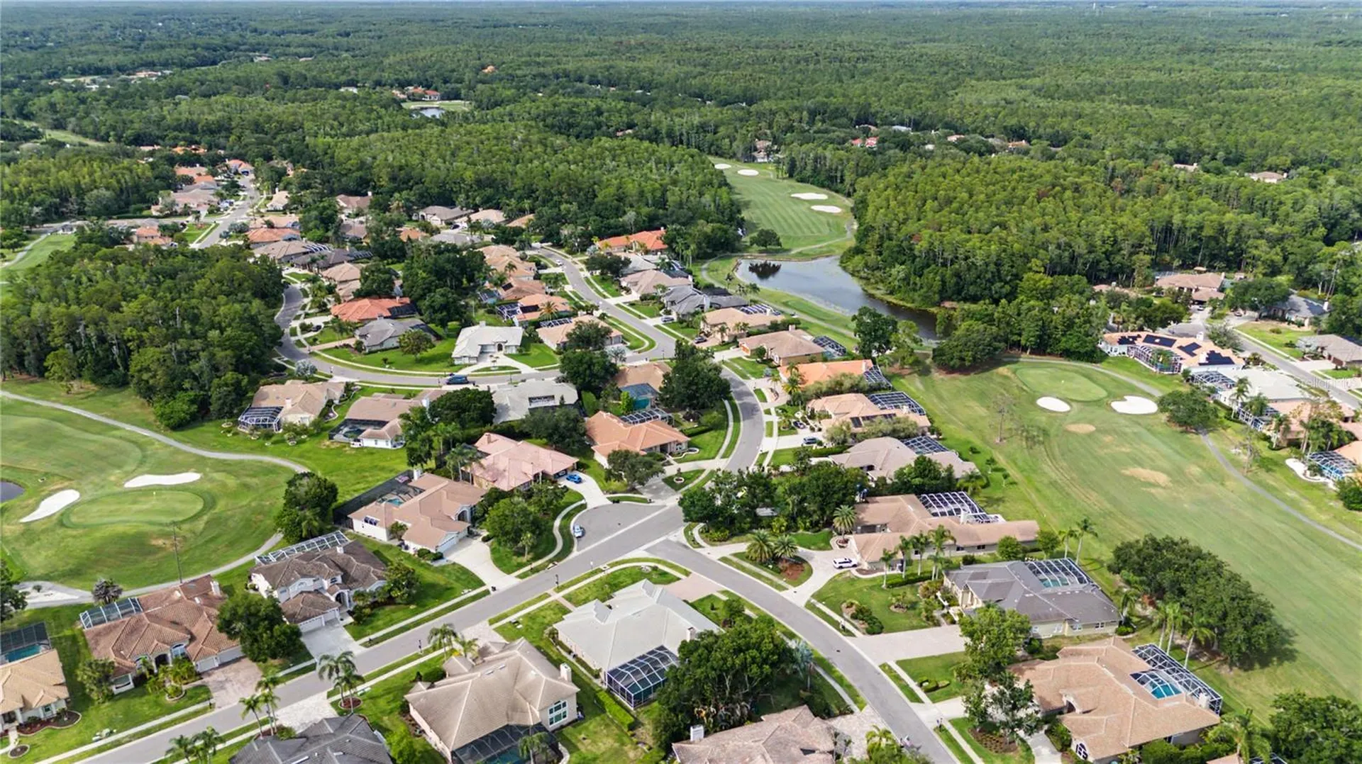 1319 Forestedge Boulevard Oldsmar FL 34677