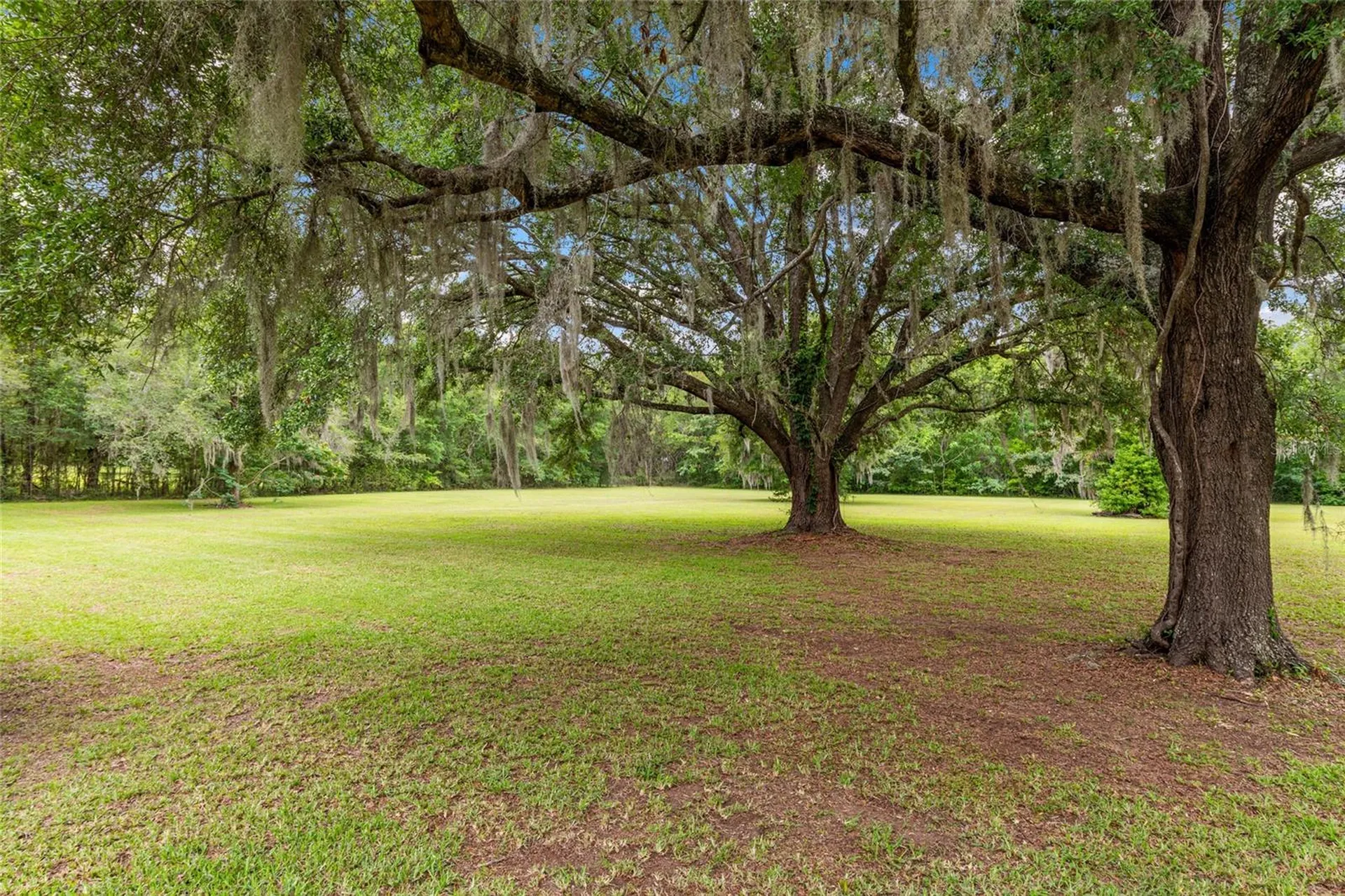 12014 NW 136th Street Alachua FL 32615