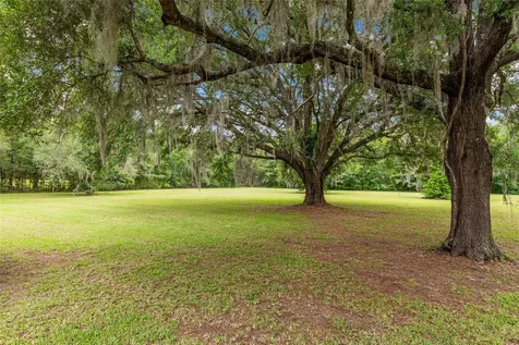 12014 NW 136th Street Alachua FL 32615