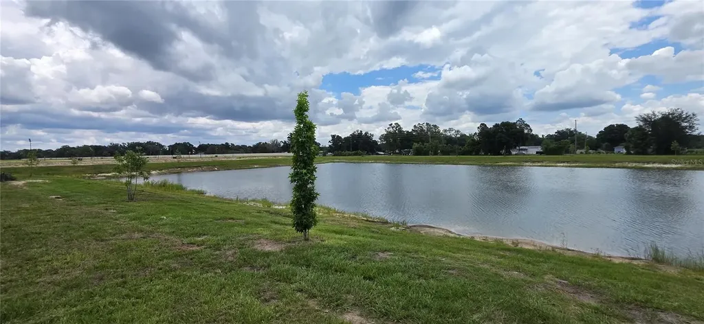 9436 Scouter Bee Place Land O Lakes FL 34637