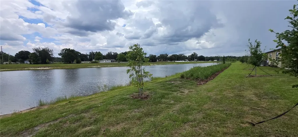 9436 Scouter Bee Place Land O Lakes FL 34637