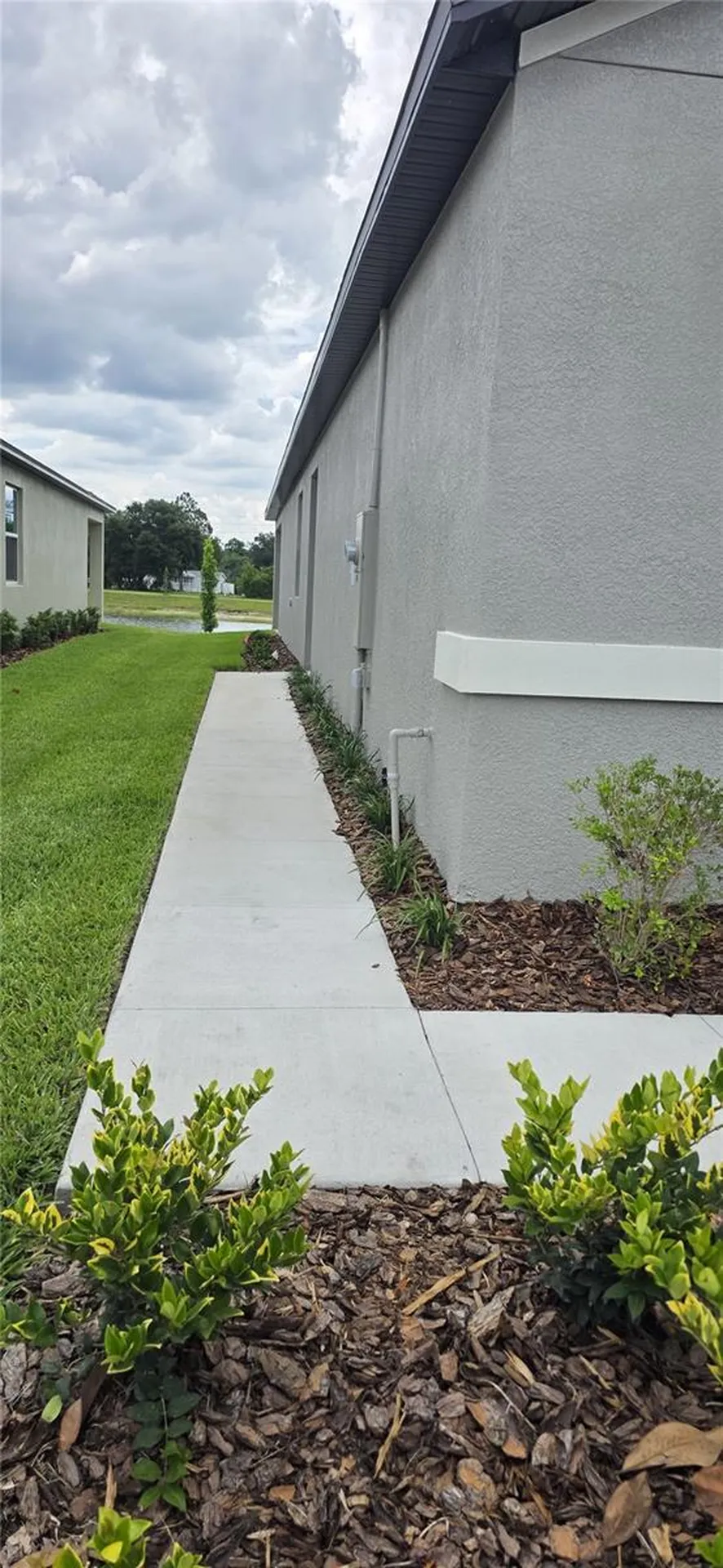 9436 Scouter Bee Place Land O Lakes FL 34637