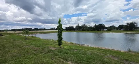 9436 Scouter Bee Place Land O Lakes FL 34637