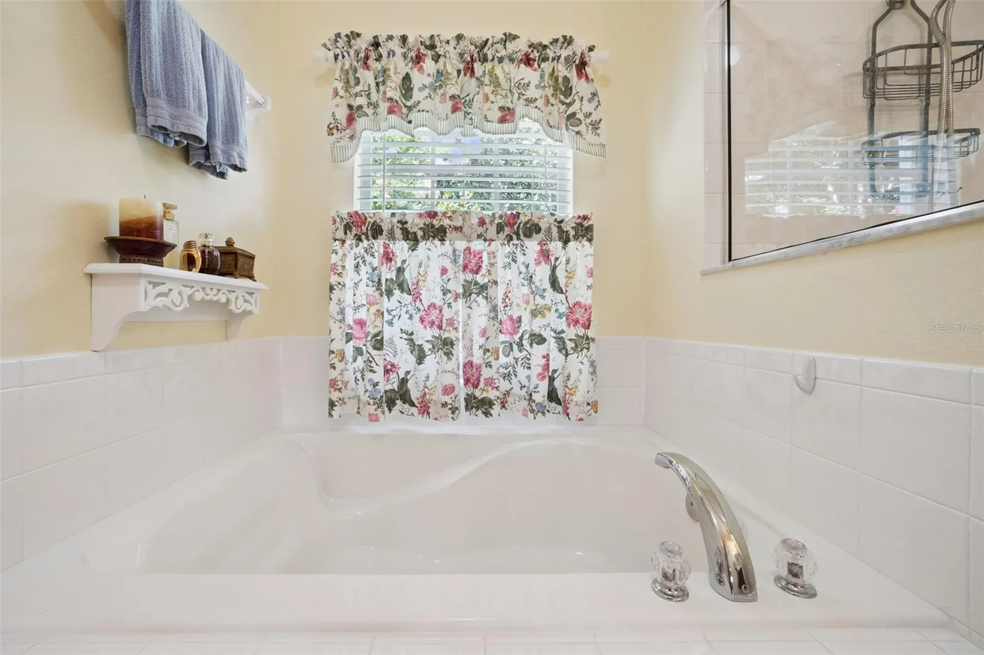 2243 Wolf Ridge Lane Mount Dora FL 32757