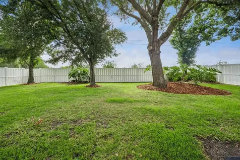 2243 Wolf Ridge Lane Mount Dora FL 32757