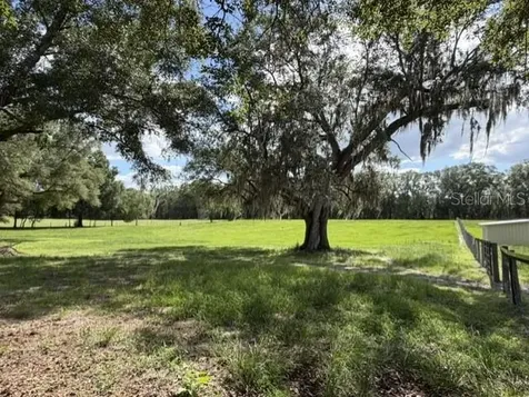 559 SW 15th Court Bell FL 32619