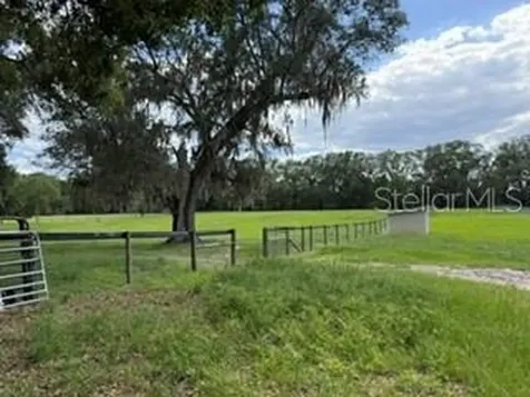 559 SW 15th Court Bell FL 32619